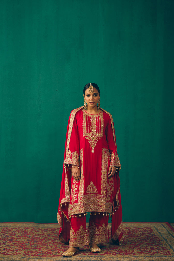 Elegant Red Embroidered Suit