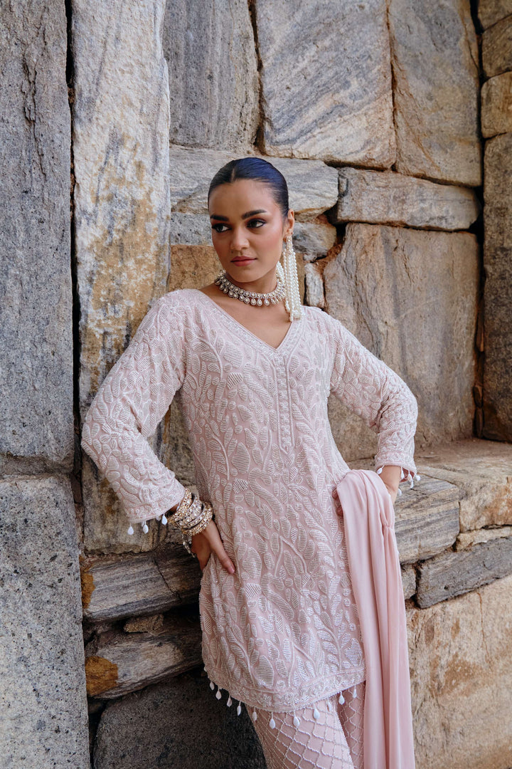 Blush Pink Embroidered Kurta and pant set