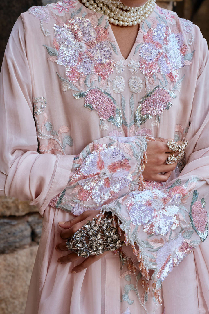 Blush Bloom Embroidered Organza Kurta Set