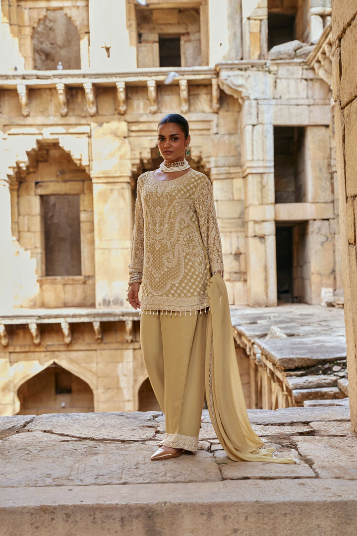 Golden Pistachio Intricate Embroidered Suit Set