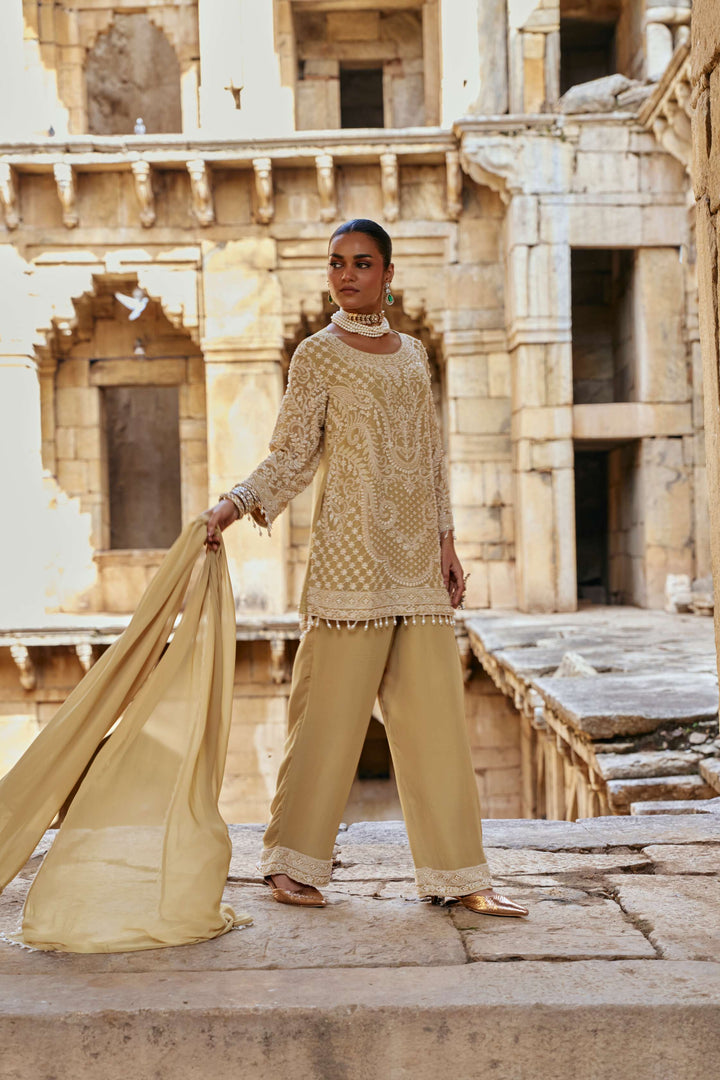 Golden Pistachio Intricate Embroidered Suit Set