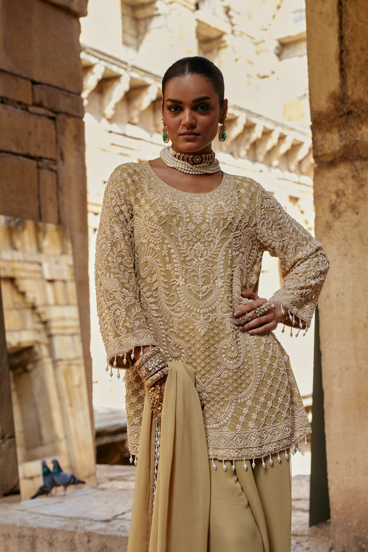 Golden Pistachio Intricate Embroidered Suit Set