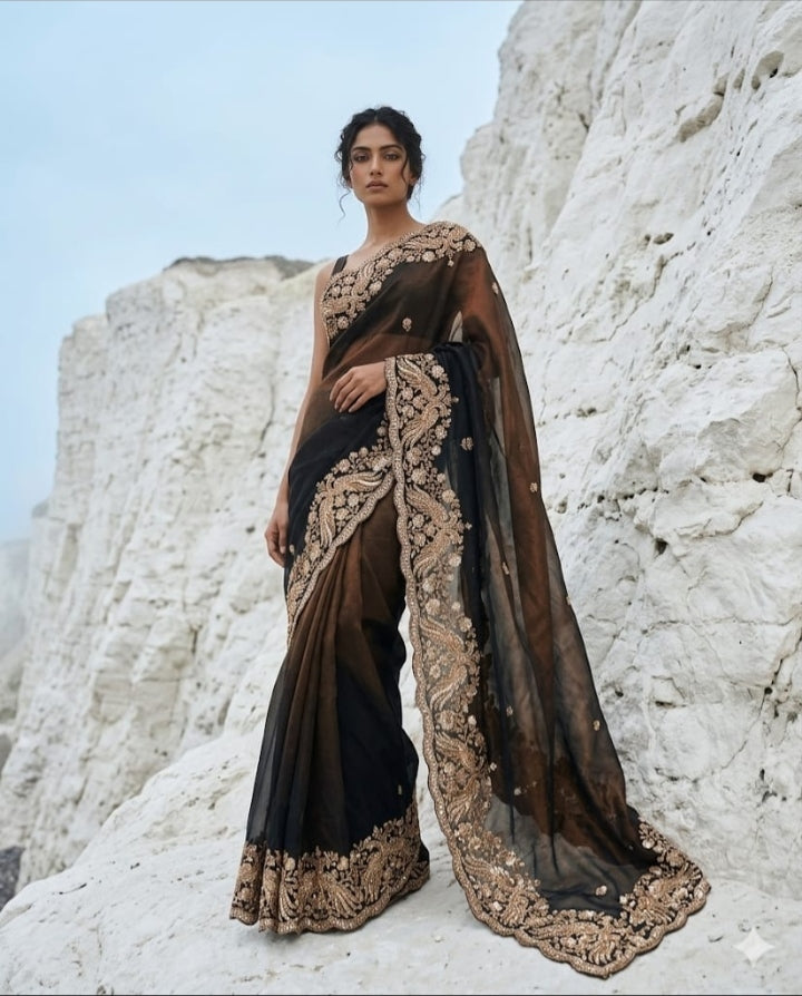 Drop 46 - Grace meets luxury in this beautifully embroidered black tissue saree.